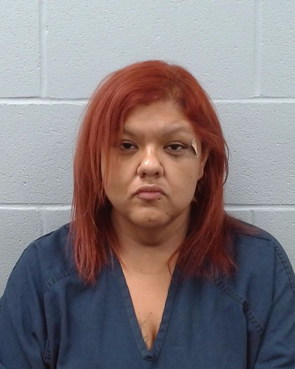 Mendez, Yvonne Dora arrest record in Hays County, Texas Mendez, Yvonne Dora arrested in Hays County, Texas mugshot