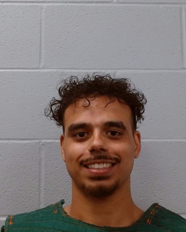 McFarland, Kyryn Lee Benjamin arrest record in Hays County, Texas McFarland, Kyryn Lee Benjamin arrested in Hays County, Texas mugshot