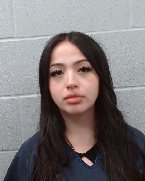 SEIBERT, ALEXIS NICHOLE arrest record in Hays County, Texas SEIBERT, ALEXIS NICHOLE arrested in Hays County, Texas mugshot
