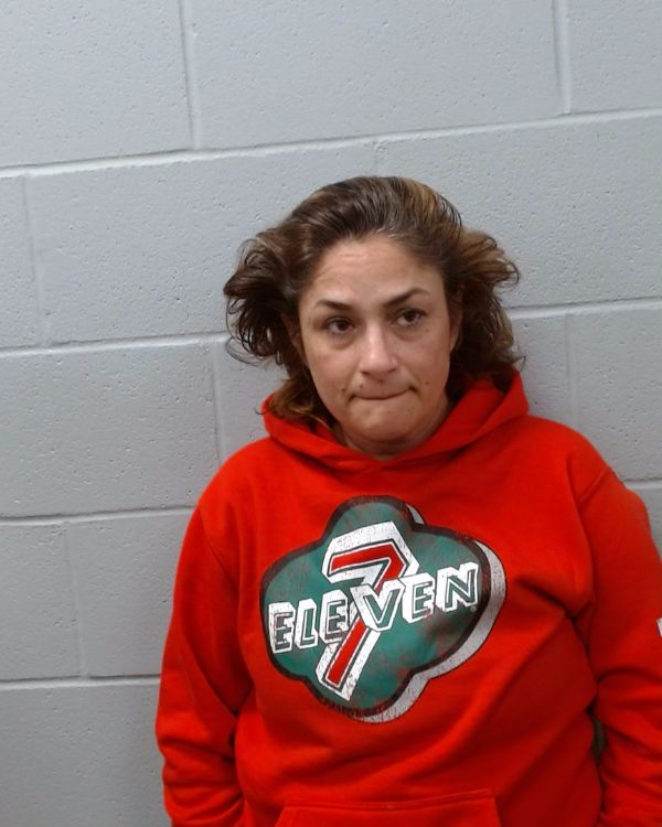 Reyes, Christine arrest record in Hays County, Texas Reyes, Christine arrested in Hays County, Texas mugshot
