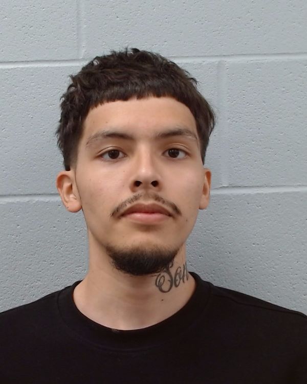 Ramos, Tulio Omero arrest record in Hays County, Texas Ramos, Tulio Omero arrested in Hays County, Texas mugshot