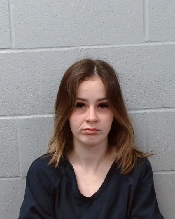 Harley, Aleah Diane arrest record in Hays County, Texas Harley, Aleah Diane arrested in Hays County, Texas mugshot