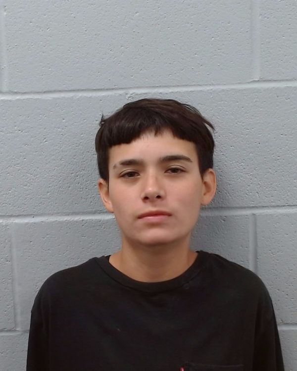 Acosta, Carlita Rose arrest record in Hays County, Texas Acosta, Carlita Rose arrested in Hays County, Texas mugshot